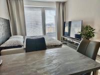 TV a/nebo společenská místnost v ubytování Apartmány Elite - Frištenského