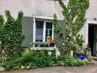 Zahrada ubytování Ferienwohnung Hof unterer Dürrenberg Langenbruck