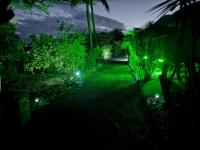 un jardín iluminado por la noche con luces verdes en Gîtes du Baobab, en La Désirade