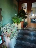Plan piętra w obiekcie B&B Home Holiday Villa delle Acacie agriturismo