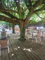 Un árbol en una terraza de madera con mesas y sillas. en Hôtel Bon Repos, en Barbezieux