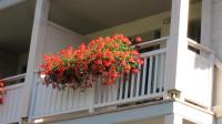 A balcony or terrace at Apartment Valdisole
