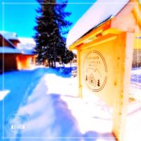 Domek Góralski Stary Młyn Zakopane House v zime