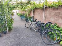 Jazda na bicykli v okolí ubytovania Frühstückspension See-Panorama