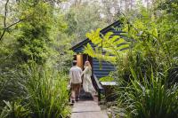 a man and a woman walking down a path at Kondalilla Eco Resort in Montville