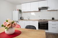 Kuchyň nebo kuchyňský kout v ubytování Apartman Luka