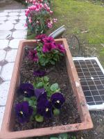 Il giardino nascostoにある庭