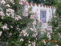 a white wall with pink roses and a window at Moulin De Larcy in Ribérac