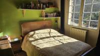 a bedroom with a bed and a green wall at Le Mas Nomade in Callian