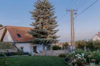 Vonkajšia záhrada v ubytovaní Panorama Vine House