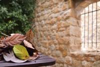 Půdorys ubytování Espacioso pajar con barbacoa en Casa de las Letras