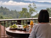 Cảnh núi rừng hoặc tầm nhìn ra núi từ khách sạn