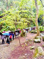 山蘇的故鄉 桃園市民宿130號の宿泊客