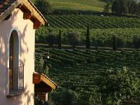 A garden outside Poggio al Casone