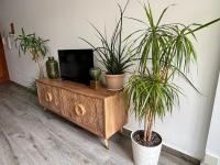 Televízia a/alebo spoločenská miestnosť v ubytovaní Casa Gracia Stylish apartment close to the beach BY NAMASTE ELITE
