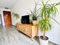 Televízia a/alebo spoločenská miestnosť v ubytovaní Casa Gracia Stylish apartment close to the beach BY NAMASTE ELITE
