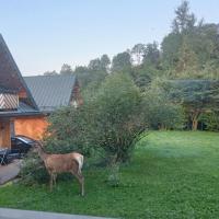 Zvieratá v horskej chate alebo blízkom okolí