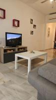 A television and/or entertainment centre at Ideal Holiday Apartment City Center
