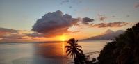 a sunset over the ocean with a palm tree at Maui Homestay Vue Océan Exceptionnelle &amp; Baleines en Saison in Tohautu