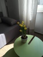 Posezení v ubytování Regina Apartment
