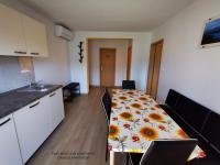 Kuchyň nebo kuchyňský kout v ubytování Apartment and room Anica