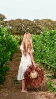 Hostia v ubytovaní Is Cheas wine farm boutique hotel