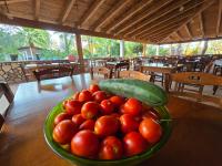 Gallery image of Village Camping Fico D'India in Ovile la Marina