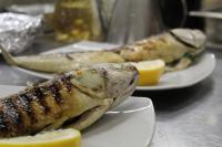 Gallery image of Village Camping Fico D'India in Ovile la Marina