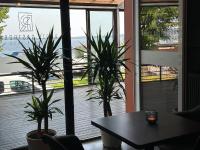 Phong cảnh thiên nhiên gần khách sạn