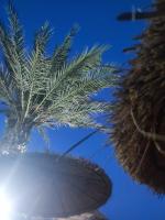 Půdorys ubytování Résidence SUN SHINE DJERBA