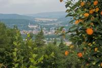 a view of a town from a hill with orange flowers at Panoramahotel &amp; Restaurant am Marienturm in Rudolstadt