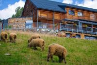 Άλλα ζώα σε αυτό το ξενοδοχείο ή στη γύρω περιοχή