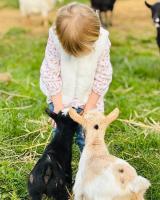 Ferme des Petites Oreilles 4 étoilesに滞在中の子供