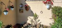 A garden outside Casa in giardino