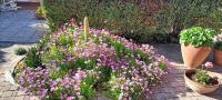A garden outside Casa in giardino
