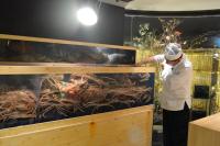 Hosté ubytování 瑠璃浜