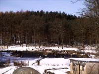 a bridge over a river with snow on the ground at Pension &amp; Gasthaus Kattenstieg in Kattenstiegs-Mühle
