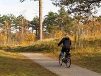 Radfahren an der Unterkunft Hotel Ter Zand - Handwritten Collection oder in der Nähe