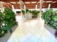 a large room with potted plants in a building at Horse Country Resort Congress & Spa - Hotel Castello in Arborea 
