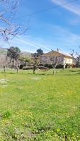Príroda v okolí of the country house