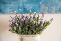 Půdorys ubytování GuestReady - Charming House Marquês