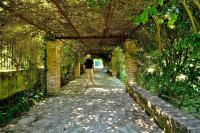 Zahrada ubytování Portico Verde private Villa with pool | Corfu
