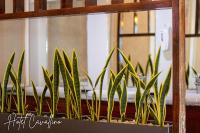 Fotografie z fotogalerie ubytování Hotel Cavallino v destinaci Kakamega