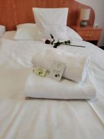 Postel nebo postele na pokoji v ubytování Hotel Legie
