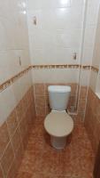 Koupelna v ubytování Apartmán Příkrá
