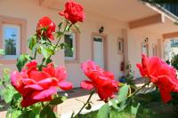 A garden outside Red Rose Garden