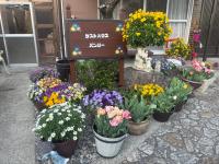一棟貸ゲストハウス　パンジーの見取り図または間取り図
