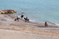 Půdorys ubytování Tere Playa