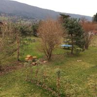 Ein Garten an der Unterkunft Studio Lac et Tournette