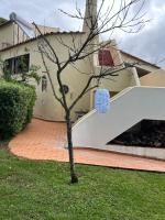 Zahrada ubytování Villa Amarela
